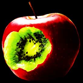 health quotes video