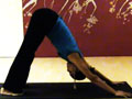 Ashtanga Primary Yoga Series