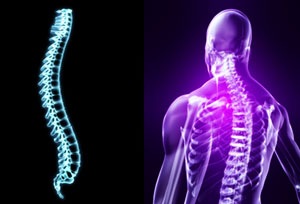 back posture