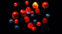 berries berries