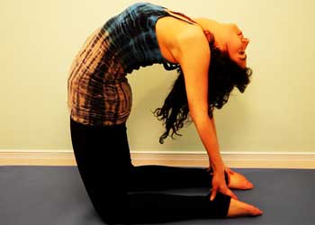 camel pose
