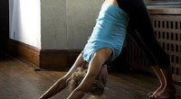 downward dog downward dog
