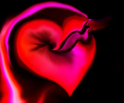 heart