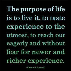 ... dares to waste one hour of time has not discovered the value of life