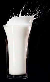milk