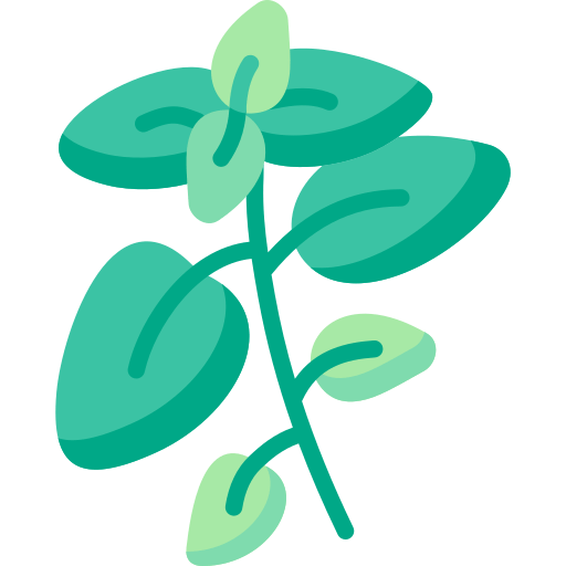 Oregano