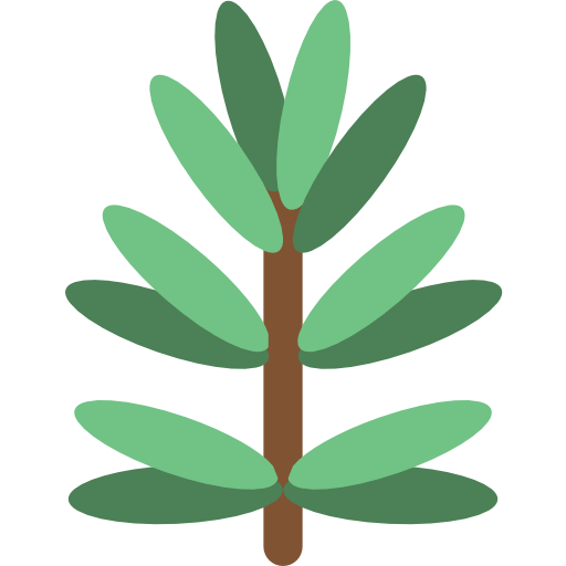 Rosmary
