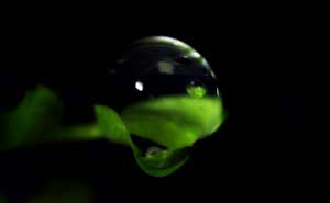 water droplet